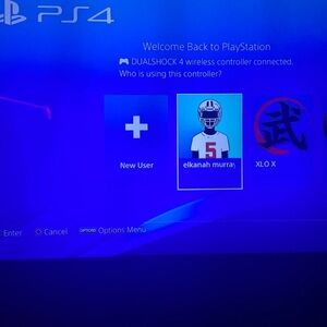 PS4 Console Interface Display